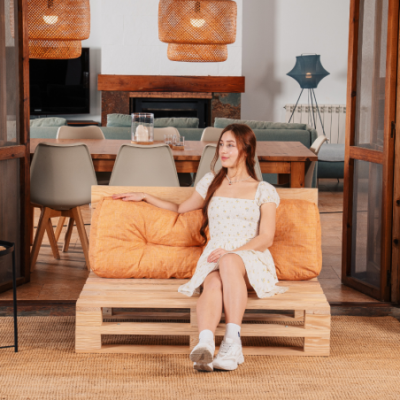 coussin palette dossier